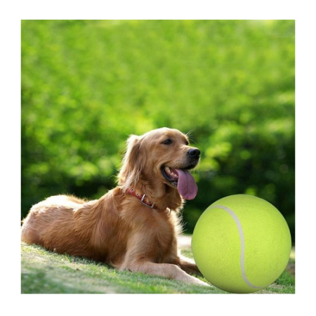 Dog Training Ball