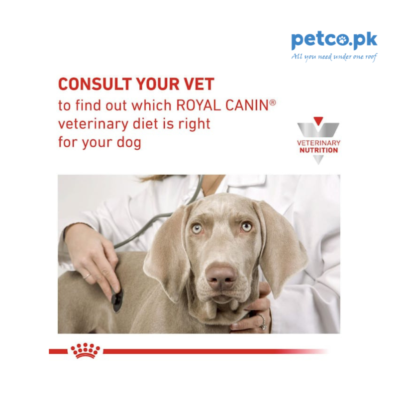 Royal Canin Hepatic Dry Dog Food