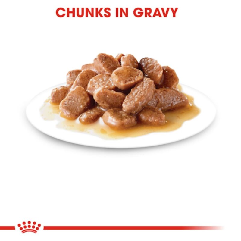 Royal Canin Instinctive Adult Cat Gravy Pouch in Chunks by Petco Pakistan