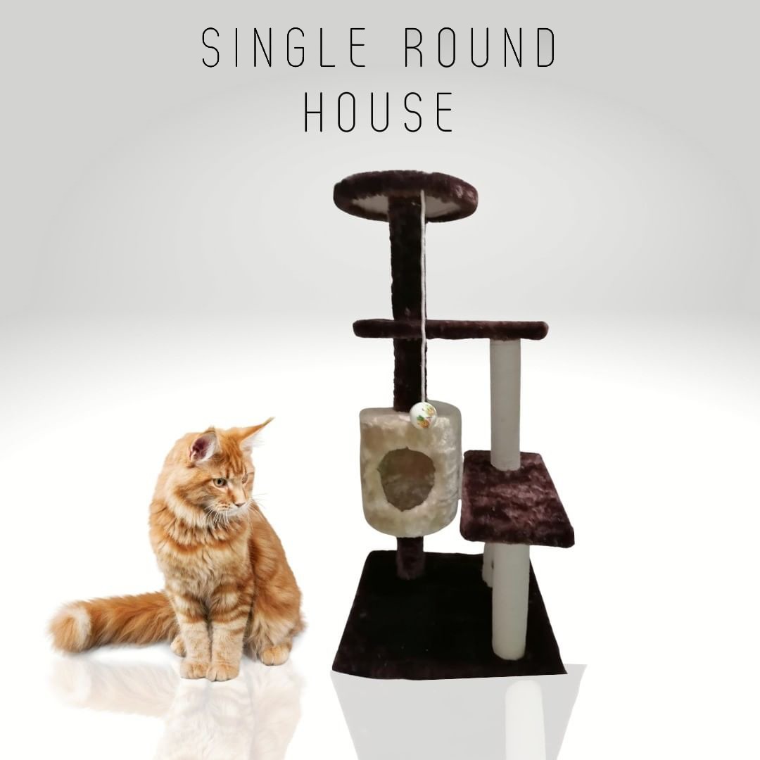 Single cat 2024 scratching post