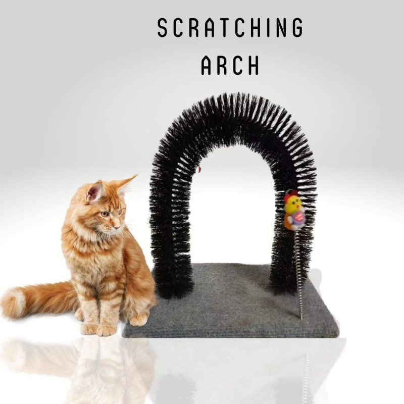Scratching Post (Arch)