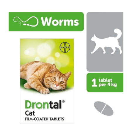 Drontal – Deworming Tablets for Cat