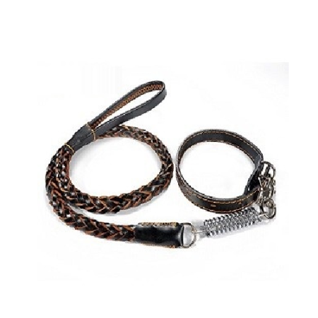 Leather Dog Leash and Collar Set with Sudden pull shock absorber