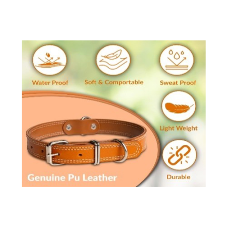 Light Brown Leather collar imp