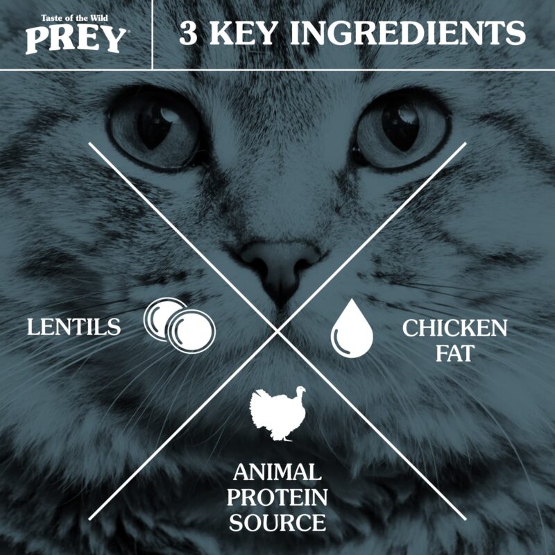 prey turkey cats three key ingredients 121222