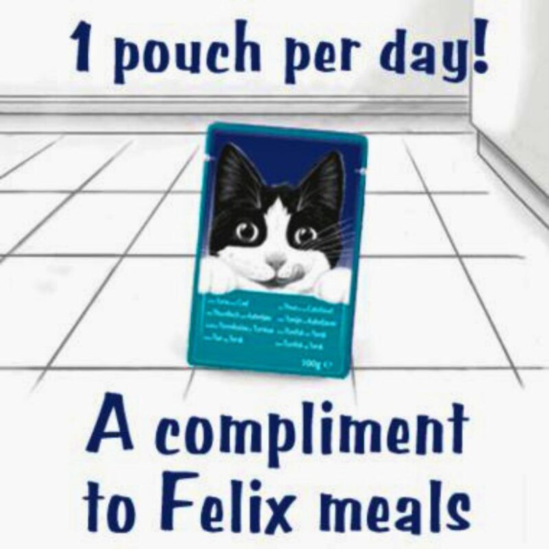 FELIX Soup Original Farm Selection Wet Cat Food By Petco.pk