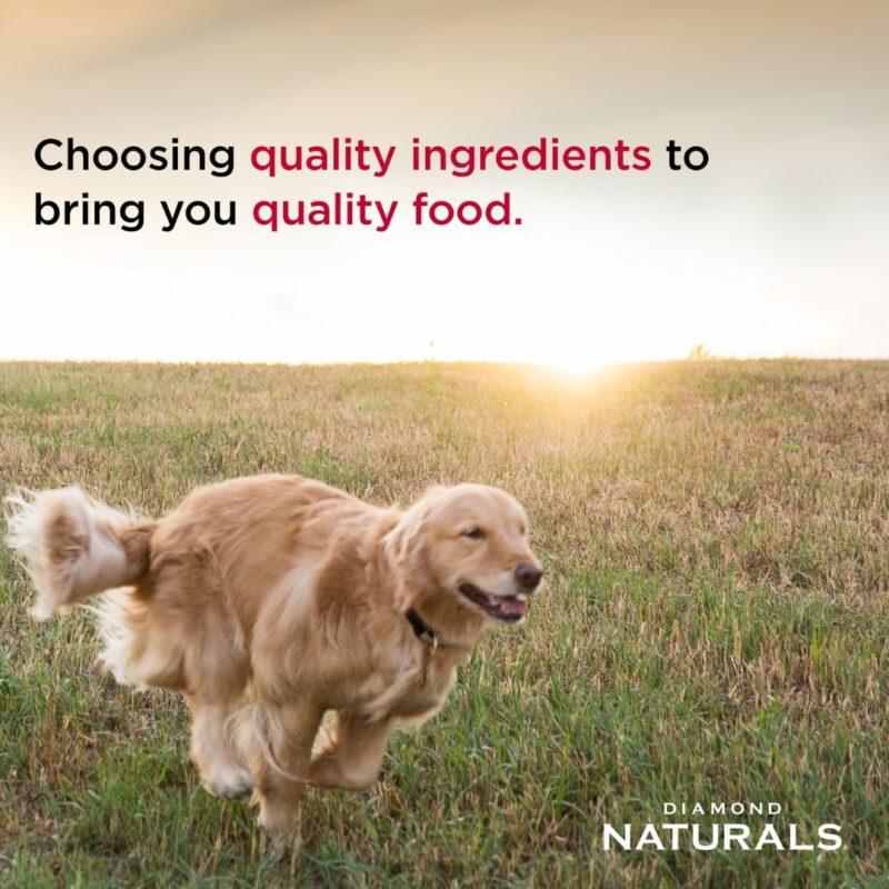 DIAMOND NATURALS LARGE BREED ADULT DOG FOOD CHICKEN & RICE FORMULA QUALITY INGREDIENTS QUALITY FOOD BY PETCO.PK