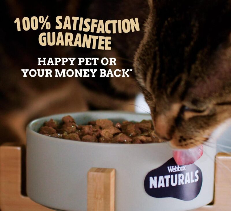 Webbox Naturals Meat in Gravy Wet Cat Food Satisfaction Guaranteed Petco.pk