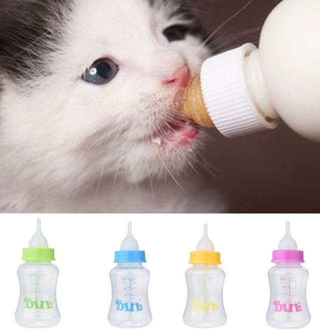 Pet Feeding Bottle - Image 2