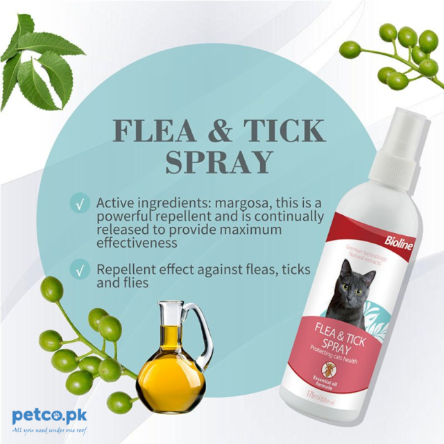 Bioline Flea and Tick Spray for Cats - Image 2