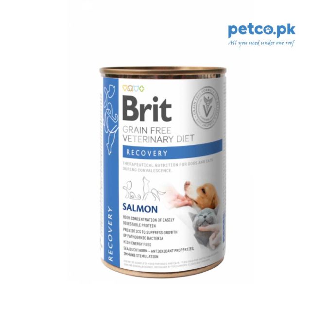Brit Veterinary Diet Recovery Tin with Salmon for Cats and Dogs