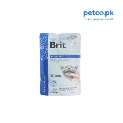 Brit Veterinary Diet Recovery for Cats Pouch – Salmon
