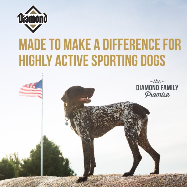 DIAMOND HI-ENERGY DOG FOOD – 22.68 KG - Image 3