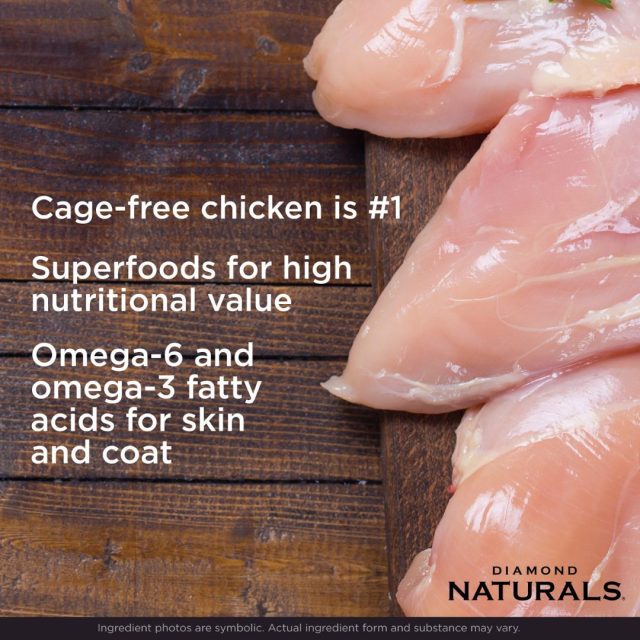 Diamond Naturals Large Breed Adult Dog Food Chicken & Rice Formula - Image 4