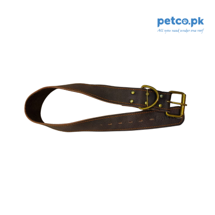 Dog Leather collar