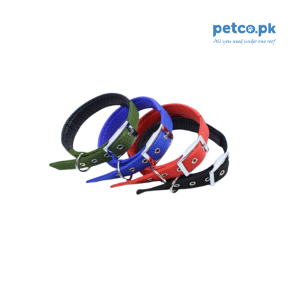 Dog Soft Collar