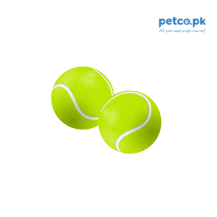 Dog Training Ball