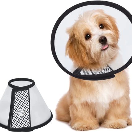 E Collar (Elizabethan Collar)