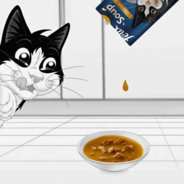 FELIX Soup Original Farm Selection Wet Cat Food - Image 2