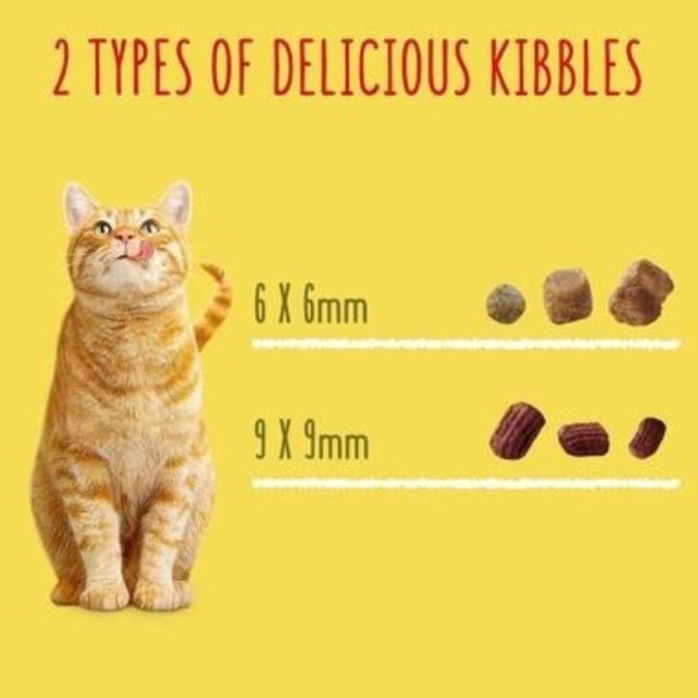 PURINA GO-CAT® Crunchy and Tender Salmon and Tuna Dry Cat Food - Image 6