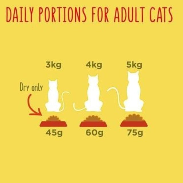 PURINA GO-CAT® Crunchy and Tender Salmon and Tuna Dry Cat Food - Image 7