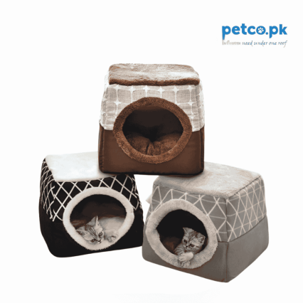 House Cum Bed for Cats & Puppies