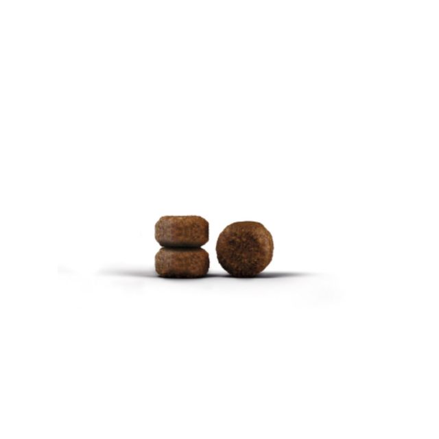 Josera DailyCat Grain-Free Cat Food - Image 2
