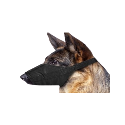 Parachute Muzel