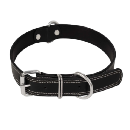Black Leather collar imp