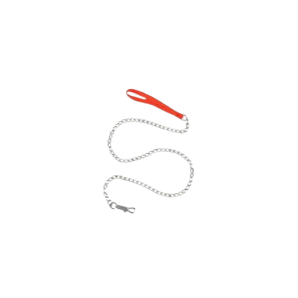 Chain Leash
