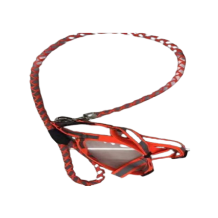 Round leash with harnes