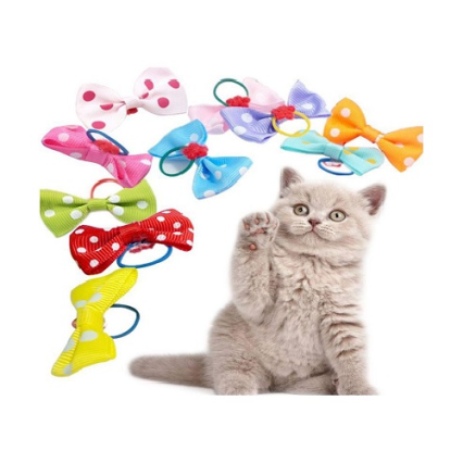 Cat Bows