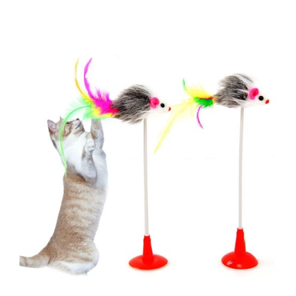 Cat Spring Toy