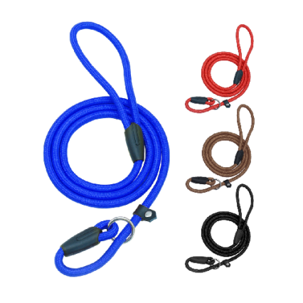 Dog Training Leash