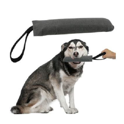Dog Training Toy