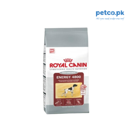 ROYAL CANIN ENERGY 4800 DRY DOG FOOD