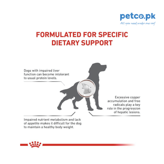 Royal Canin Hepatic Dry Dog Food - Image 4