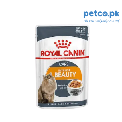 Royal Canin Intense Beauty Wet Food Pouch