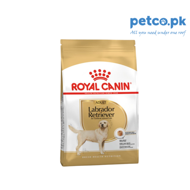 Royal Canin Labrador Adult Dry Dog Food