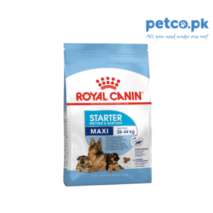 Royal Canin Maxi Starter Mother & Babydog Food
