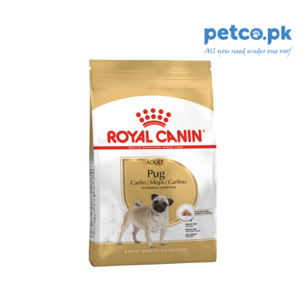 Royal Canin Pug Adult Dry Dog Food