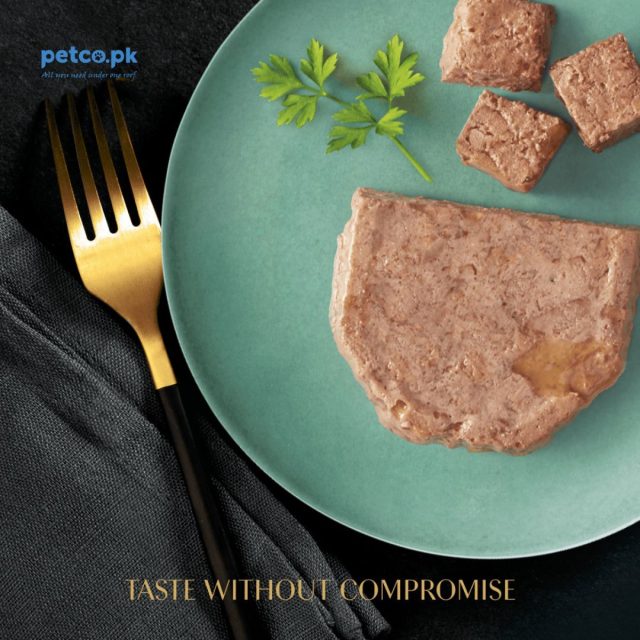 SHEBA Classics Wet Cat Food Salmon in Terrine 85g - Image 2