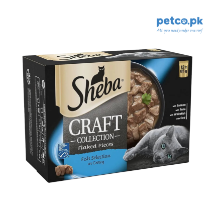 Sheba Craft Collection Fish Selection in Gravy