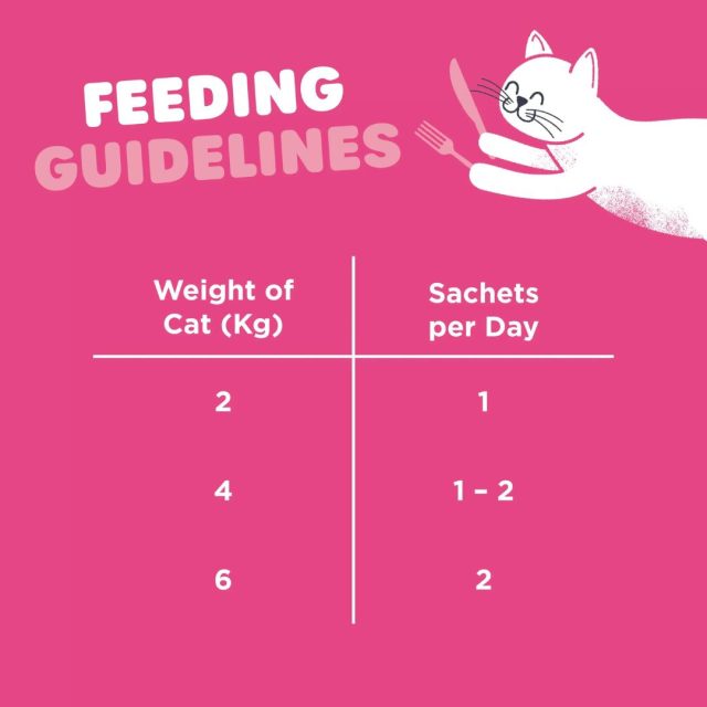 Webbox Cat Treats Lick-e-Lix Salmon - Image 4