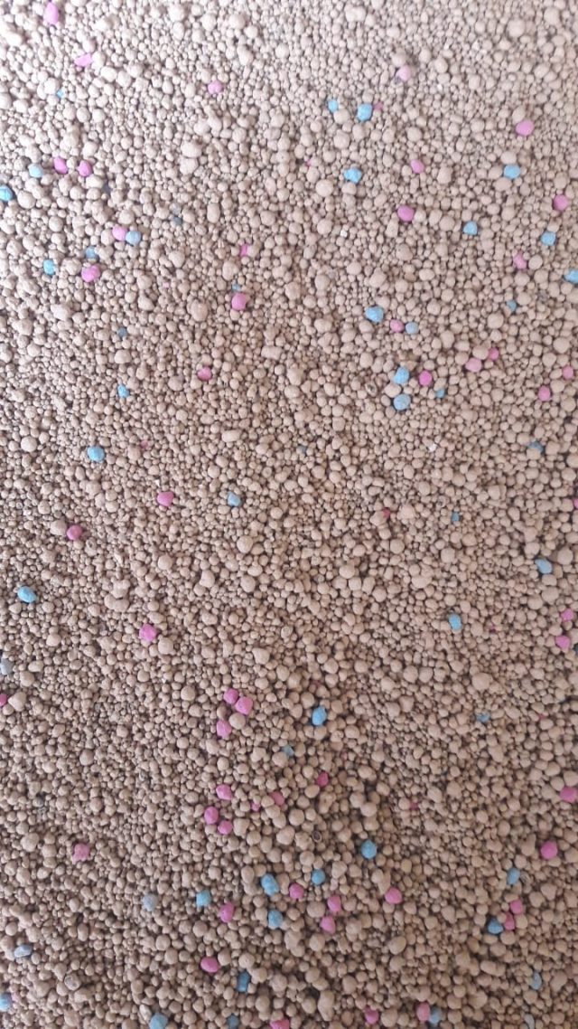 Ultra Klumpy Cat Litter (Scented Premium Bentonite) - Image 4