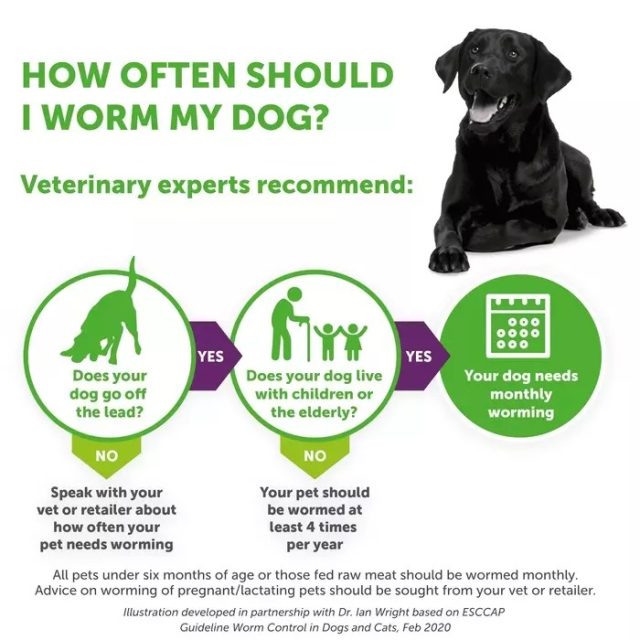 Drontal Plus Tasty Tablets for Dogs (Germany) - Image 2