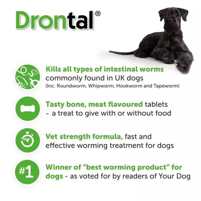 Drontal Plus Tasty Tablets for Dogs (Germany) - Image 4