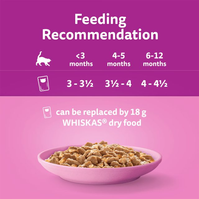 WHISKAS® Kitten 2-12 Months Fish Favourites in Jelly (85g) - Image 3