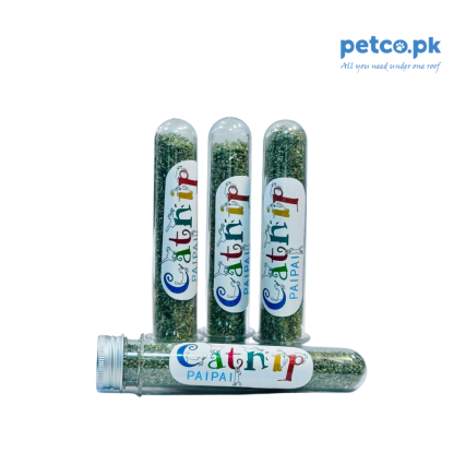 Cat Nip
