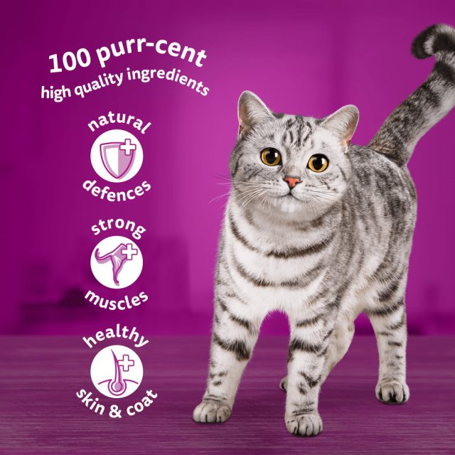 WHISKAS® Poultry Feasts in Jelly 1+ Adult (85 g) - Image 3